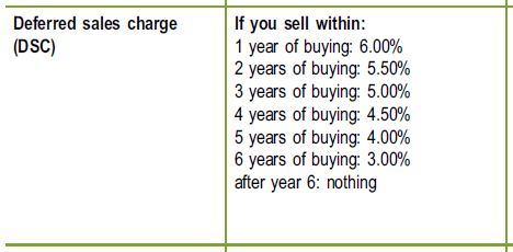 Investing in Mutual Funds